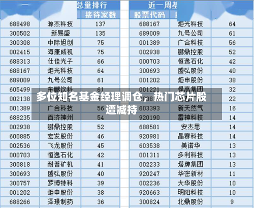 多位知名基金经理调仓	，热门芯片股遭减持-第2张图片