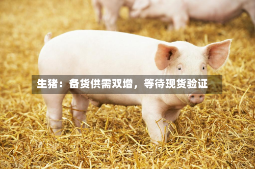 生猪：备货供需双增，等待现货验证-第1张图片