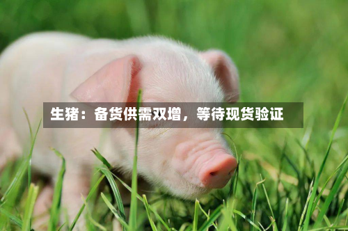 生猪：备货供需双增	，等待现货验证-第2张图片