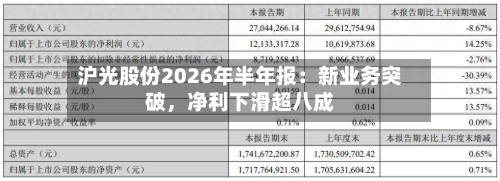 沪光股份2026年半年报：新业务突破，净利下滑超八成-第3张图片