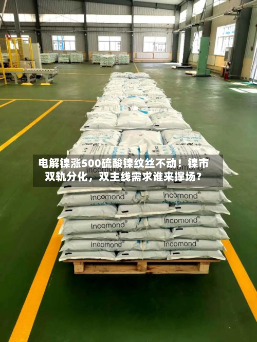 电解镍涨500硫酸镍纹丝不动！镍市双轨分化	，双主线需求谁来撑场？-第1张图片