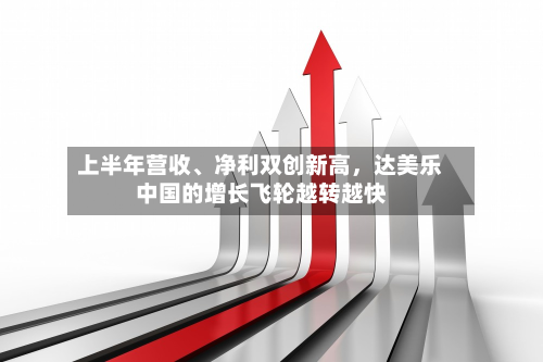 上半年营收	、净利双创新高	，达美乐中国的增长飞轮越转越快-第3张图片