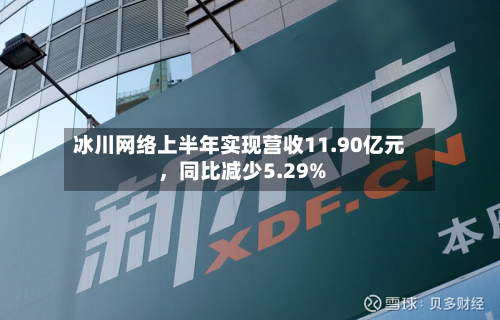 冰川网络上半年实现营收11.90亿元，同比减少5.29%-第3张图片