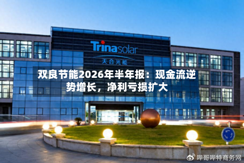 双良节能2026年半年报：现金流逆势增长，净利亏损扩大-第3张图片