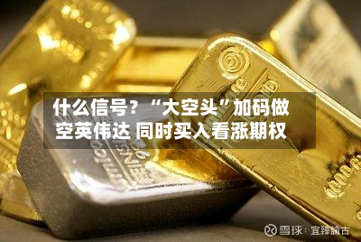 什么信号？“大空头”加码做空英伟达 同时买入看涨期权-第2张图片