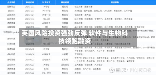 英国风险投资强劲反弹 软件与生物科技领跑融资