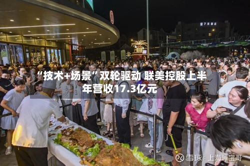 “技术+场景”双轮驱动 联美控股上半年营收17.3亿元-第3张图片