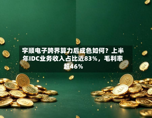 宇顺电子跨界算力后成色如何？上半年IDC业务收入占比近83%，毛利率超46%-第3张图片