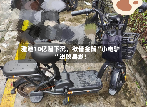 雅迪10亿赌下沉,欲借金箭“小电驴”进攻县乡!-第2张图片