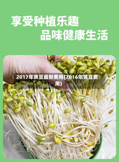 2017年黄豆最新费用(2016年黄豆费用)-第2张图片