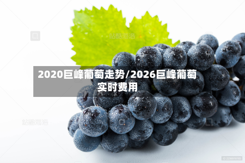 2020巨峰葡萄走势/2026巨峰葡萄实时费用-第2张图片