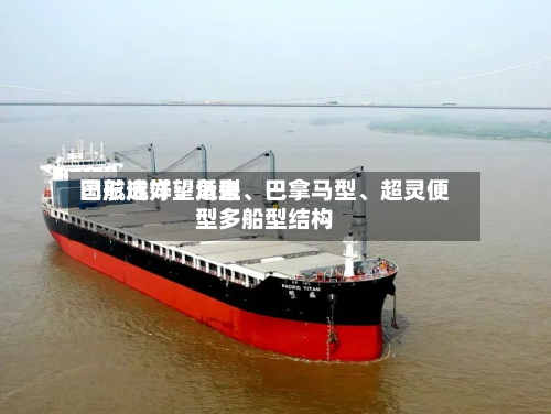 国航远洋：近来已形成好望角型、巴拿马型	、超灵便型多船型结构-第2张图片