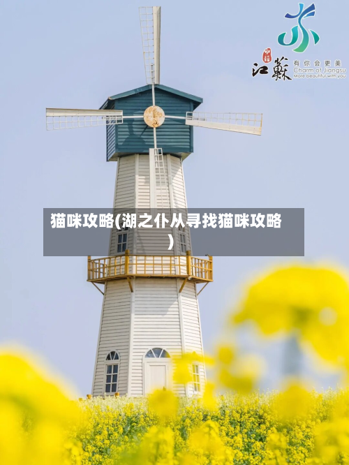 猫咪攻略(湖之仆从寻找猫咪攻略)-第2张图片