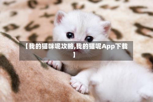 【我的猫咪呢攻略,我的猫呢App下载】-第2张图片