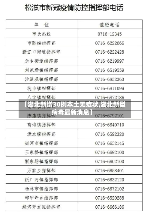 【湖北新增30例本土无症状,湖北新型病毒最新消息】