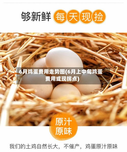 6月鸡蛋费用走势图(6月上中旬鸡蛋费用或现拐点)-第2张图片