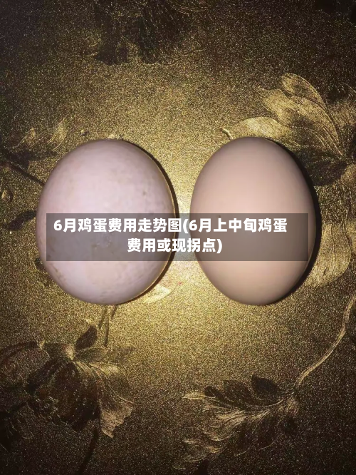 6月鸡蛋费用走势图(6月上中旬鸡蛋费用或现拐点)-第3张图片