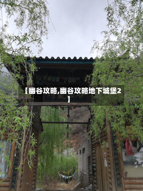 【幽谷攻略,幽谷攻略地下城堡2】