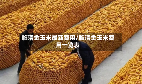 临清金玉米最新费用/临清金玉米费用一览表-第2张图片
