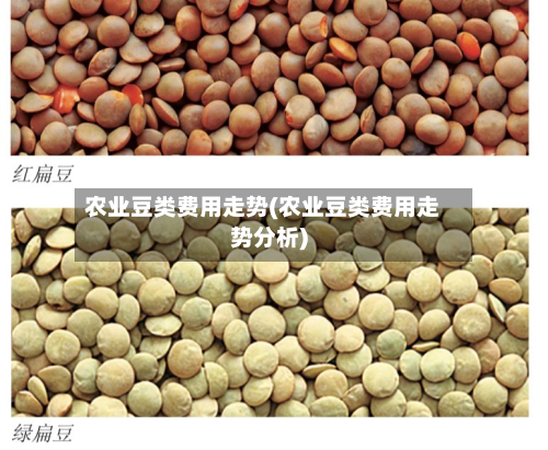 农业豆类费用走势(农业豆类费用走势分析)