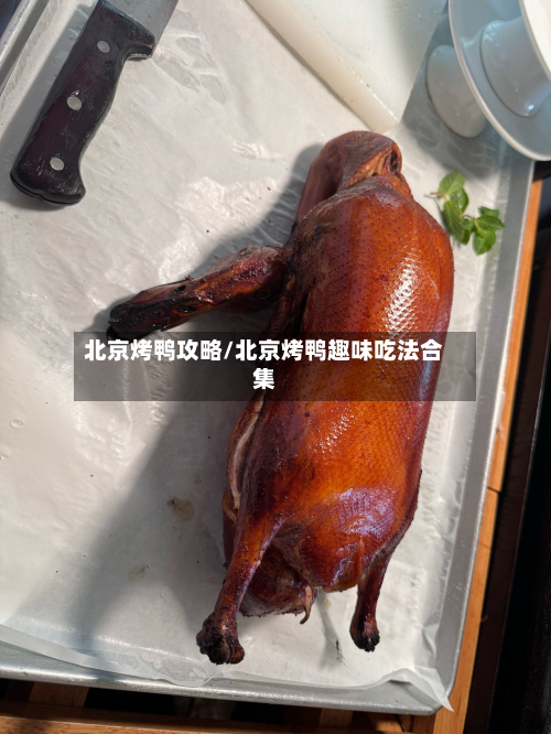 北京烤鸭攻略/北京烤鸭趣味吃法合集