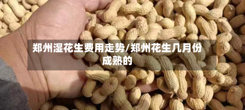郑州湿花生费用走势/郑州花生几月份成熟的