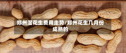 郑州湿花生费用走势/郑州花生几月份成熟的-第2张图片