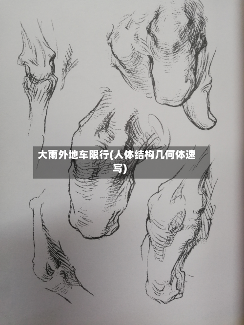 大雨外地车限行(人体结构几何体速写)-第3张图片