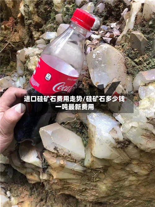 进口硅矿石费用走势/硅矿石多少钱一吨最新费用-第3张图片