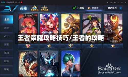 王者荣耀攻略技巧/王者的攻略