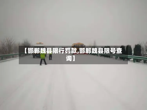 【邯郸魏县限行罚款,邯郸魏县限号查询】