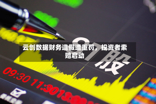 云创数据财务造假遭重罚，投资者索赔启动