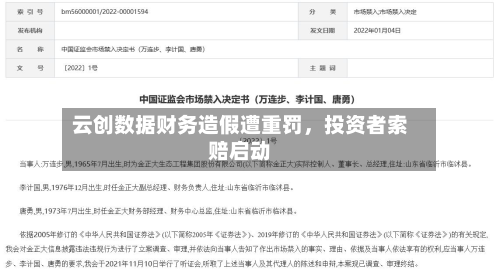 云创数据财务造假遭重罚	，投资者索赔启动-第2张图片