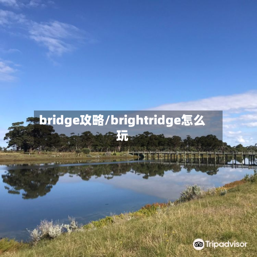 bridge攻略/brightridge怎么玩