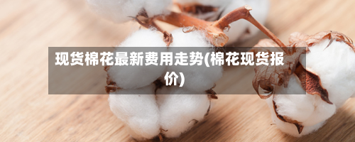 现货棉花最新费用走势(棉花现货报价)