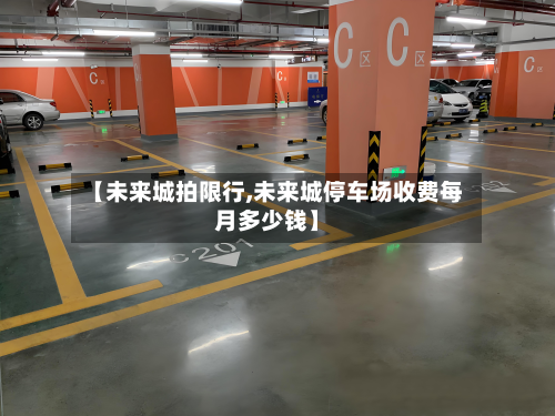 【未来城拍限行,未来城停车场收费每月多少钱】