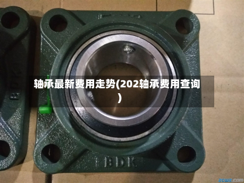 轴承最新费用走势(202轴承费用查询)