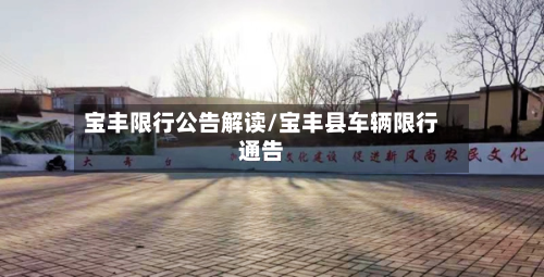 宝丰限行公告解读/宝丰县车辆限行通告-第2张图片