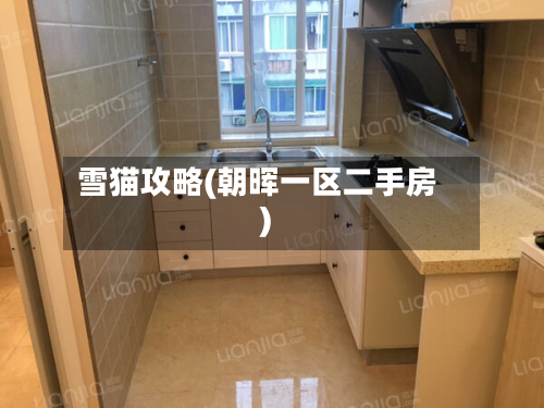 雪猫攻略(朝晖一区二手房)-第3张图片