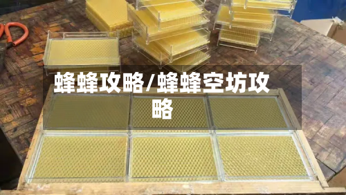 蜂蜂攻略/蜂蜂空坊攻略