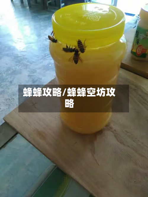 蜂蜂攻略/蜂蜂空坊攻略-第2张图片