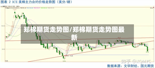 郑棉期货走势图/郑棉期货走势图最新-第2张图片
