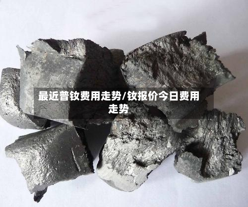 最近普钕费用走势/钕报价今日费用走势