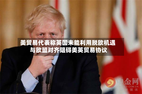美贸易代表称英国未能利用脱欧机遇 与欧盟对齐阻碍美英贸易协议