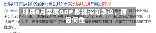 印度6月季度GDP 数据深陷争议，原因何在-第3张图片