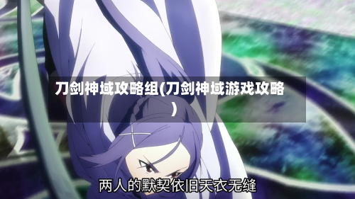 刀剑神域攻略组(刀剑神域游戏攻略)-第2张图片