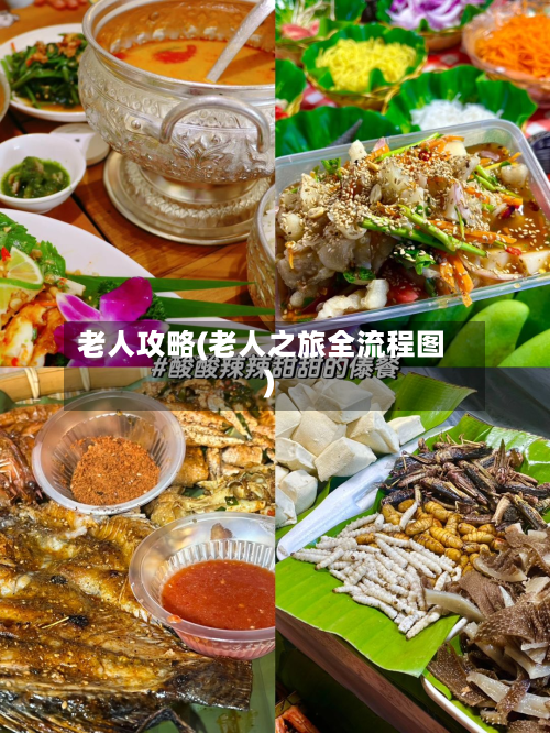 老人攻略(老人之旅全流程图)-第2张图片